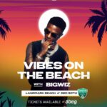 30 Dec. 2021, Vibes on the Beach with BigWiz