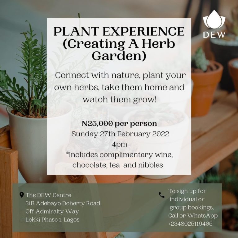 Plant Experience (Creating a Herb Garden)