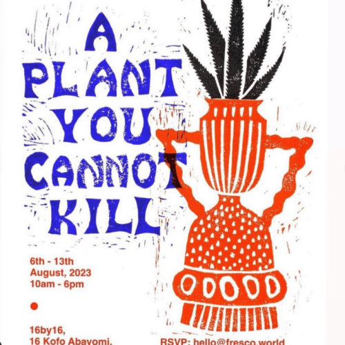 A Plant You Cannot Kill