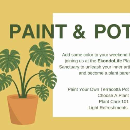 11 Nov. 2023, Paint and Pot – Abuja